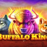 Buffalo King