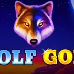 Wolf Gold